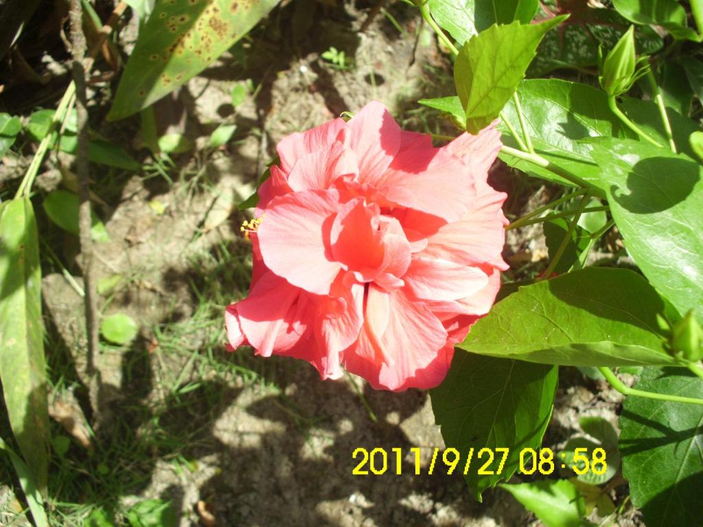 Elshaday Prive room 4